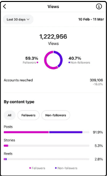 1.2M views, Instagram, 30 days, 10 Feb to 11 Mar